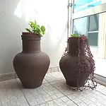 House Fifteen